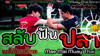 EP.19｜สลับฟันปลา｜Mae Mai Muaythai｜Salab Fun Pla｜泰拳母招｜萨腊方巴｜#มวยโบราณ