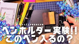 ASHFORD❤️ビタリータのペンホルダー❤️どのペン✒️が入るのかor入らないのか実験してみた🕺💕🌈‼️‼️‼️