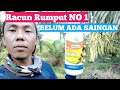 Cara meracun rumput paling berkesan