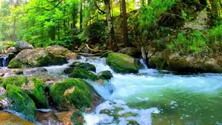 Relax with nature sounds, waterfall sounds, bird sounds 4k