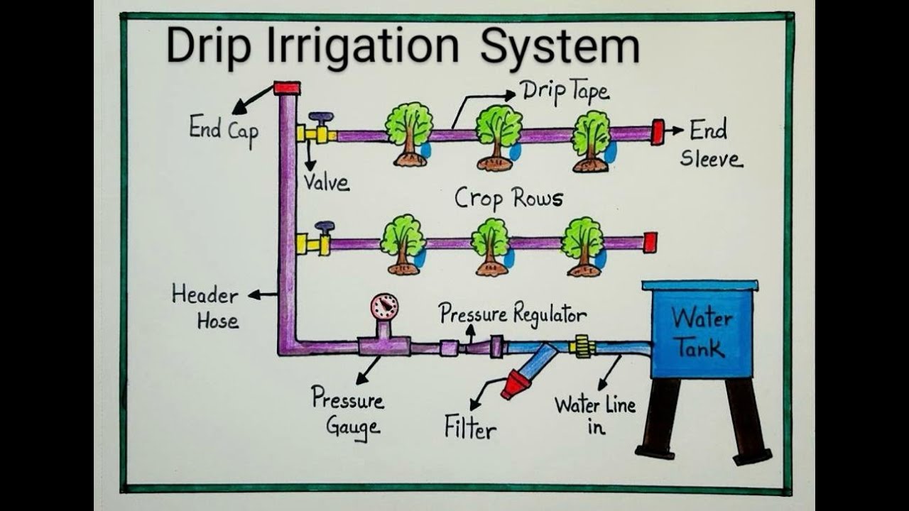 Drip Irrigation System Diagram