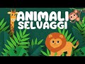 🐯 🦓 conosciamo gli animali selvaggi 🐘 🦁