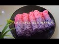 Cara Kirai Roti Jala Dua Warna