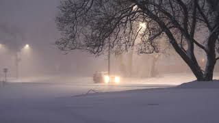 Snow Blizzard Relaxing Wind Sounds 3 Hours / Falling Soothing Snow (Relax, Sleep, Study)