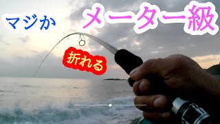 【ショアジギング】青物狙い　夢のメター級が　和歌山サーフショアジギング　釣行２０２３年４月中旬ごろ　釣行第9回