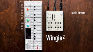 Meng Qi Wingie 2, teenage engineering Op-1 | sunlit stream