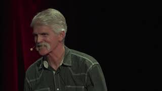 Should Humans Rule the World? Using Wolves to Connect with Nature | Doug Smith | TEDxBigSky