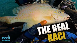 KACI KE MJ?? IKAN KONTROVERSI! | Lesen Baru Atas Kayak! | Kayak Fishing ZERO to HERO! v124