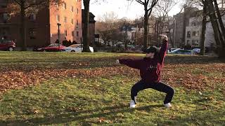 武术基本套路 五步拳 Wushu Basics: Five Stance Form