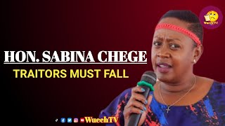 HON. SABINA CHEGE OUSTED: TRAITORS MUST FALL IN PARLIAMENT