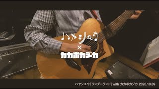 [session] ハヤシユウ × カカポカジカ『ワンダーランド』