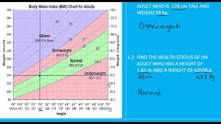 Grade 11- 12 Mathslit: BMI (P2)
