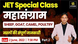 Animal Breeds (नस्लें) Sheep, Goat, Camel, Poultry | Important Question | JET Exam | Laxman Sir