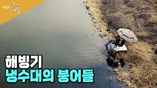 [하이라이트] FTV 일격 - 해빙기, 냉수대의 붕어들(2023.02.24방송)