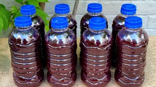 How to make Mulberry Juice at home | Black Mulberry Juice Recipe | Enable Subtitles