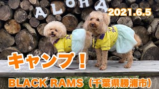 キャンプ　BLACK RAMS（千葉県勝浦市）