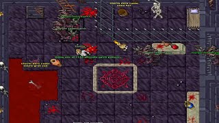 Tibia Test Server Winter 2024