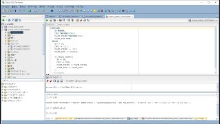 ORACLEのストアドプロシージャを SQL Developerで作成する手順（Insert文）