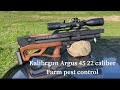 Kalibrgun Argus 45 22 caliber farm pest control #kalibrgun #kalibrgunargus #kalibrgunargus45