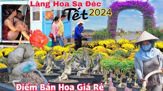 Điểm ùn ùn khách đến mua hoa giá rẻ Làng Hoa Sa Đéc tết Giáp Thìn 2024