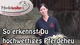 Hochwertiges Pferdeheu erkennen - 5 wichtige Tipps von Sandra Fencl