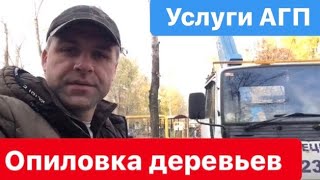 Спил деревьев. Опиловка - самая грязная работа для автовышки