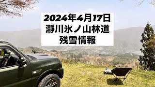 2024年4月17日　瀞川氷ノ山林道　残雪情報　兵庫県