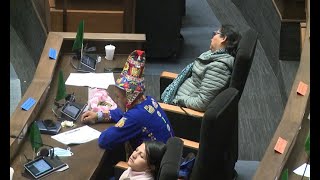 Algunos diputados se quedaron dormidos durante la sesión