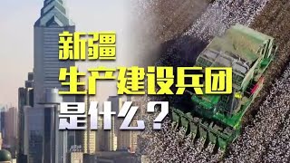 为什么提到新疆，后面总会跟着一个生产建设兵团？