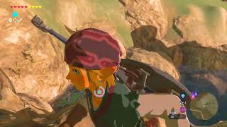 The Legend of Zelda: Breath of the Wild Let's Play 41