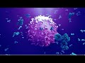 |Antigens|Determinants if antigenicity|immune system|immunology|epitope