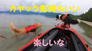 カヌー犬育成　【ボーダーコリー】のココ奮闘中　そして見守るお姉ちゃん【ゴールデンレトリバー】のチャッピー　秋田県田沢湖でカヤック訓練