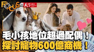 比新生兒人數多！毛小孩更親密地位超過配偶！探討寵物600億商機！｜FOCUS世界新聞X天下雜誌 ｜游皓婷 彭子珊｜EP13