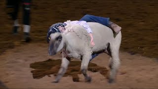 Mutton Bustin’ Competition | San Antonio Rodeo | Feb. 20, 2025