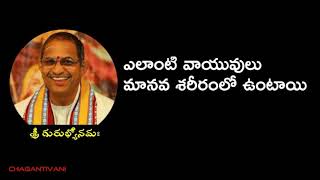 ఎలాంటి వాయువులు మానవ శరీరంలో ఉంటాయి | Elanti vayuvulu manava shariramlo vuntai | ChagantiVani