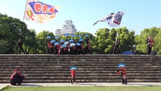 夢笑舞 @ ひめじ良さ恋まつり (城見台公園会場) 2017-05-14T16:00