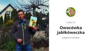 Pułapka na owocówkę jabłkóweczkę ABC | Floks.pl