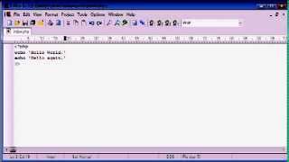 PHP Tutorial for using echo