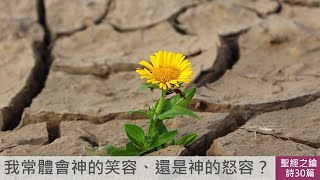 詩篇-第30章-聖殿中應有的讚美與感恩【聖經之鑰】Psalms