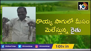 రొయ్య సాగులో మీసం మెలేస్తున్న గుంటూరు రైతు | Success Story of Young Farmer Prawn Cultivation | 10TV