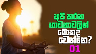 අපි කරන භාවනාවලින් මොකද වෙන්නේ 01 ?