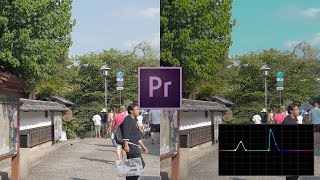 Lumetriカラーの基本補正とカーブの使い方（カラーグレーディング）【Premire Pro】