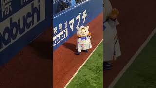 横浜スタジアム雨天中断中　スターマンが遊びに！