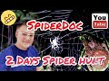 SpiderDocs'  2 DAYS SPIDER HUNT!!