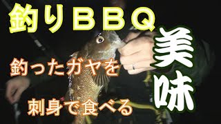 日本海釣りBBQ釣ったその場で刺身で食べたら絶品だった