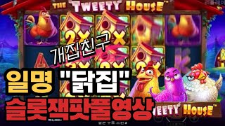 [슬롯]잭팟 프라그마틱 트위티 하우스 THE TWEETY HOUSE 풀영상 [슬롯게임][슬롯사이트][강원랜드][온라인슬롯]