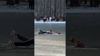 Спасение собаки в китайском городе Ханьчжун