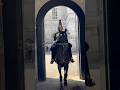 King’s Guard is starting DUTY ( Blues and Royals ) #kingsguard #horse #londonwalk #horseguardsparade