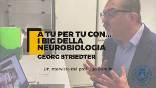 Prof. Georg Striedter talks about brain evolution