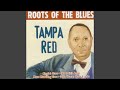 Kingfish Blues